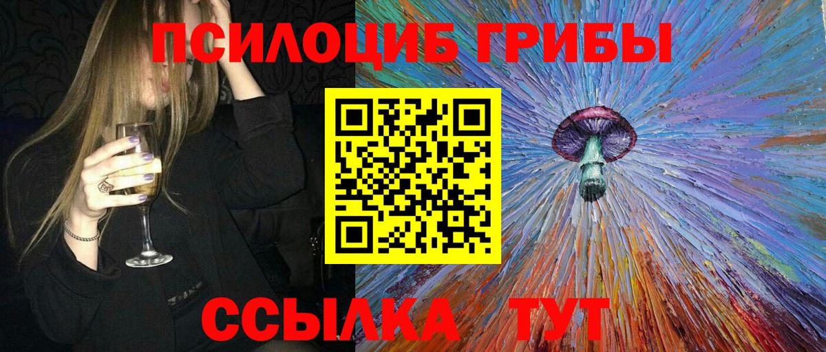 Псилоцибиновые грибы Psilocybe  Вход с VPN  Костомукша 